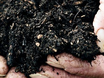 Feeding & Mulching